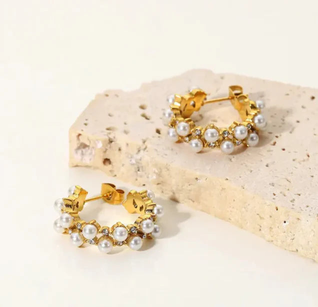 Stainless Steel Premium Quality Earrings